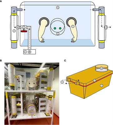 Sterility testing of germ-free mouse colonies